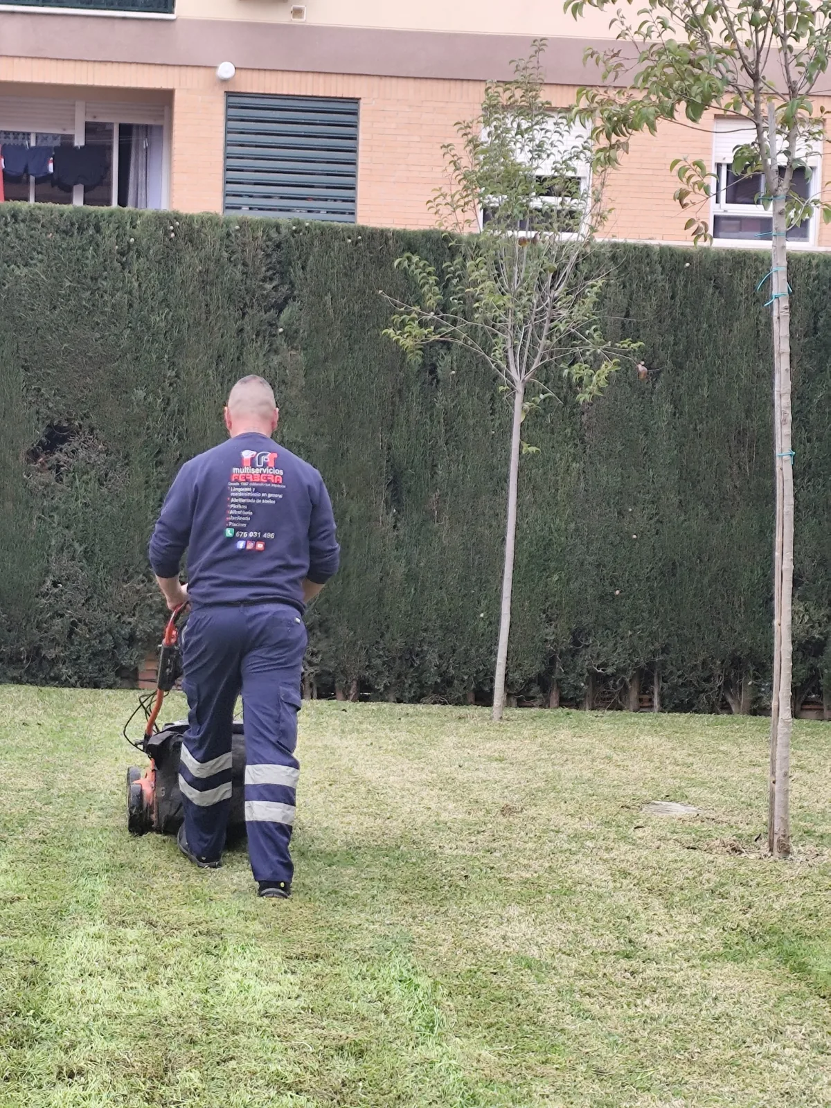 Trabajador de Ferbera realizando jardinería